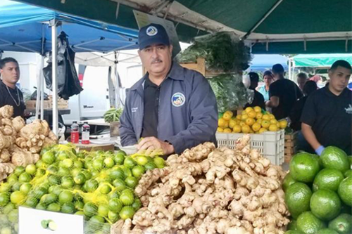 Treinta municipios impactados este fin de semana con mercados agrícolas
