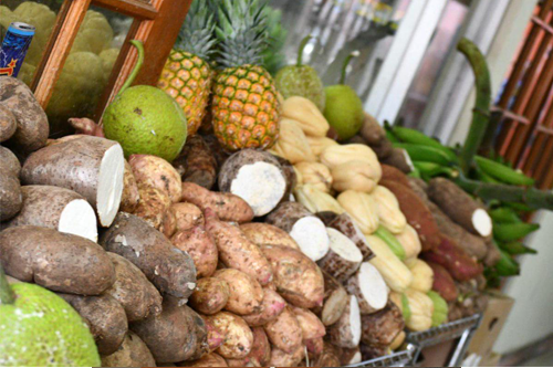 Arecibo lanza iniciativa de asistencia para los agricultores afectados por el periodo de cuarentena