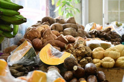 Arecibo ofrece vales alimentarios a cientos de empleados de pequeñas empresas