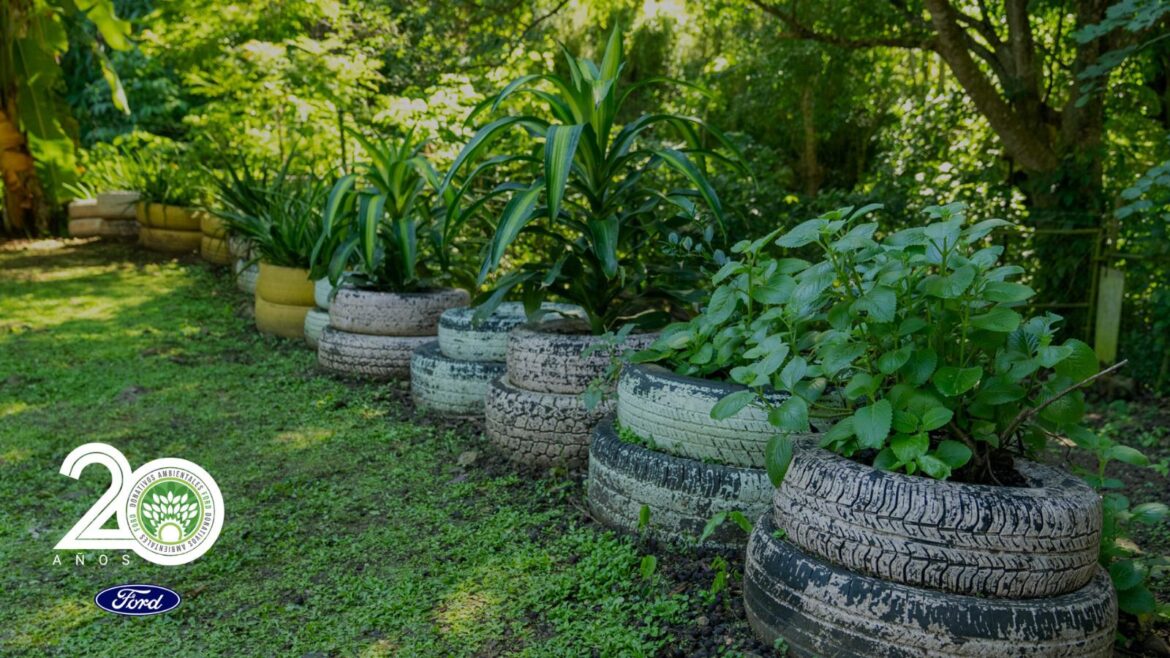 Ford celebra 20 años propulsando la sustentabilidad a través de su programa Donativos Ambientales Ford