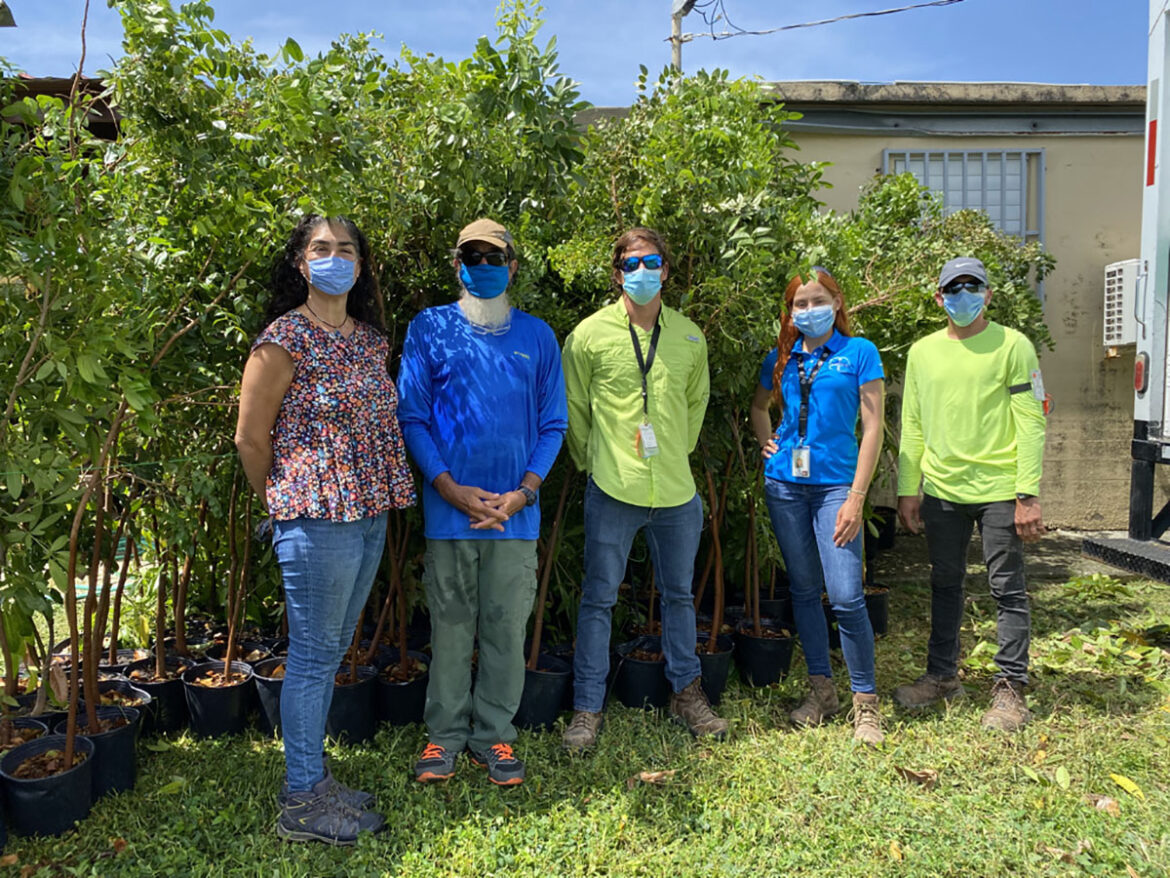 Bayer dona árboles a reserva natural en Maunabo