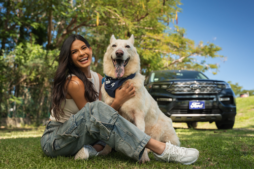 Ford Puerto Rico promueve la adopción de perros adultos junto a SatoLand Forest a través de la tercera edición de Ford Paws