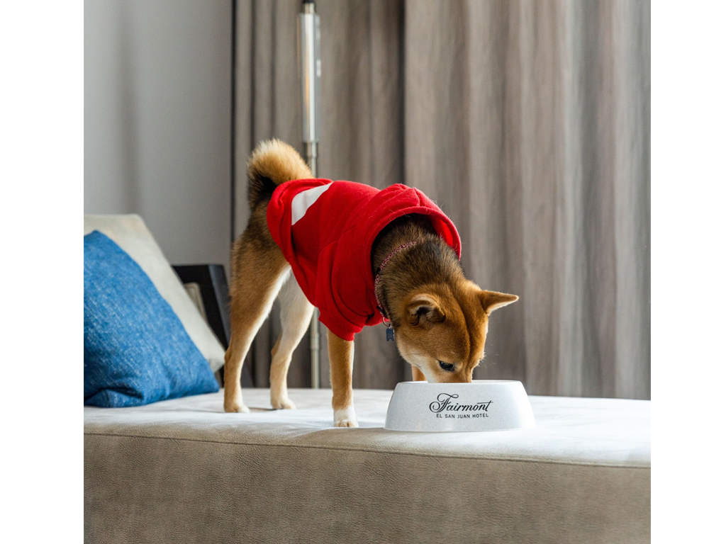 Fairmont El San Juan Hotel le da la bienvenida a tu mascota