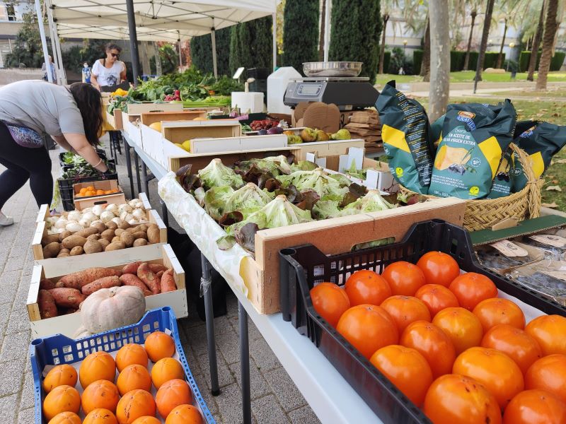 Plaza de la Juventud: un espacio para la cultura y la comunidad