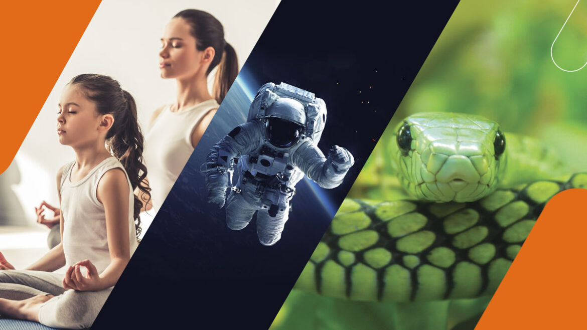 Liberty añade nuevos canales HITN TV y EDYE TV a su alineación de canales de televisión