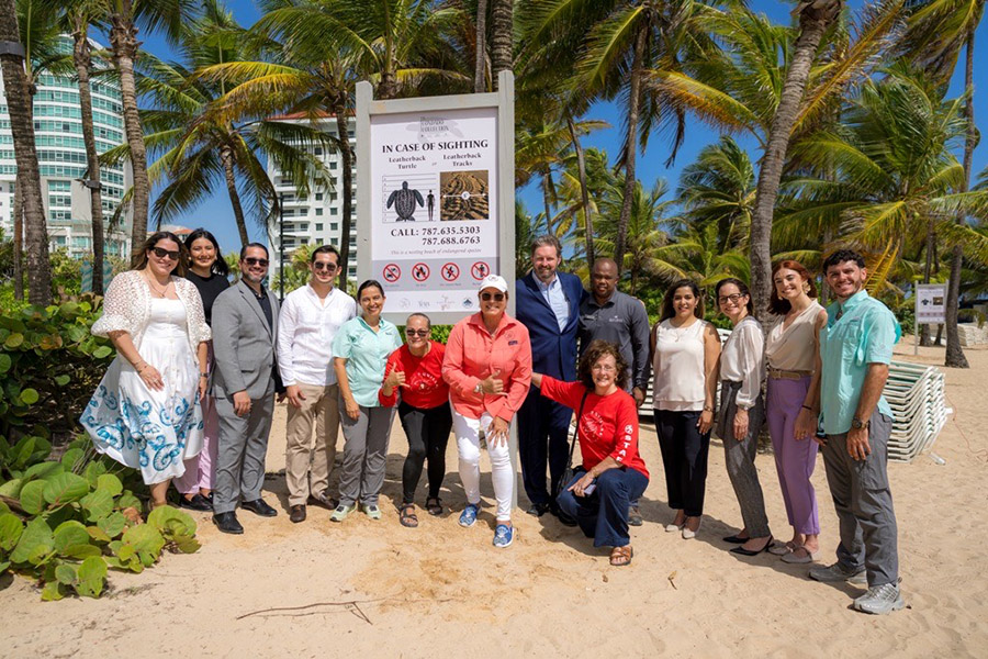 La Concha Resort y Siete Quillas hacen un llamado  a proteger a las tortugas marinas durante la Noche de San Juan