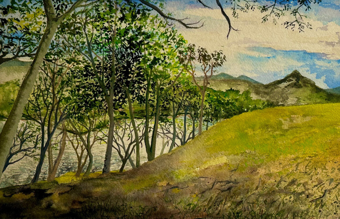 Galería Space celebra su undécimo aniversario con la primera exhibición de dibujos del artista Nick Quijano