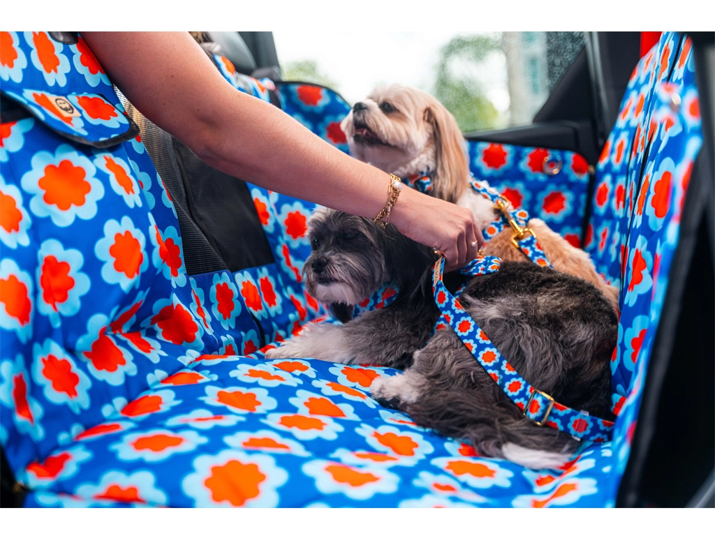 Ford Puerto Rico promueve la adopción y transportación responsable de mascotas con su esfuerzo Ford Paws en alianza con Luna Vet Help y Molly & Co.