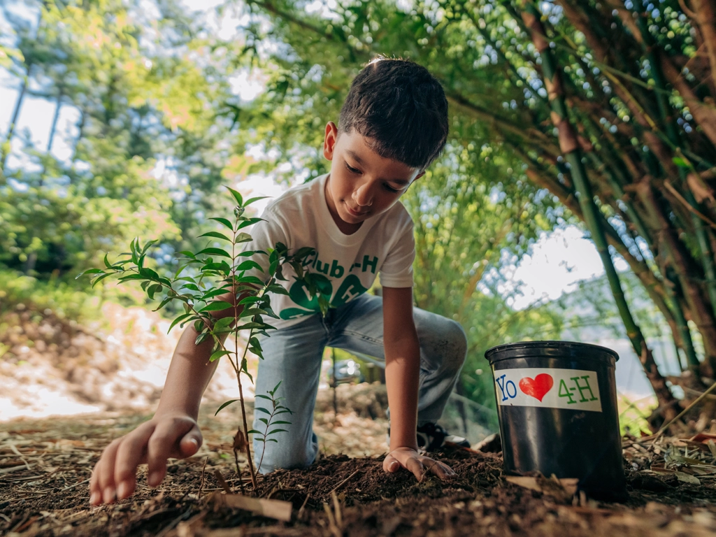 Ford abre convocatoria para  Donativos Ambientales Ford 2026