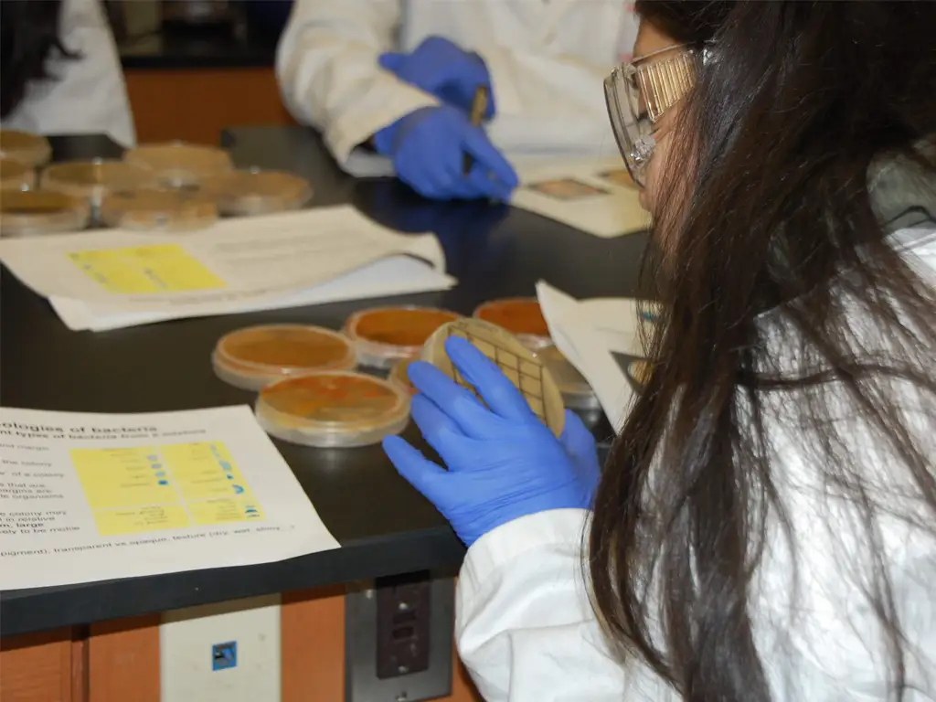 Estudiantes puertorriqueños podrán unirse a la búsqueda mundial de nuevos antibióticos en innovador campamento científico 